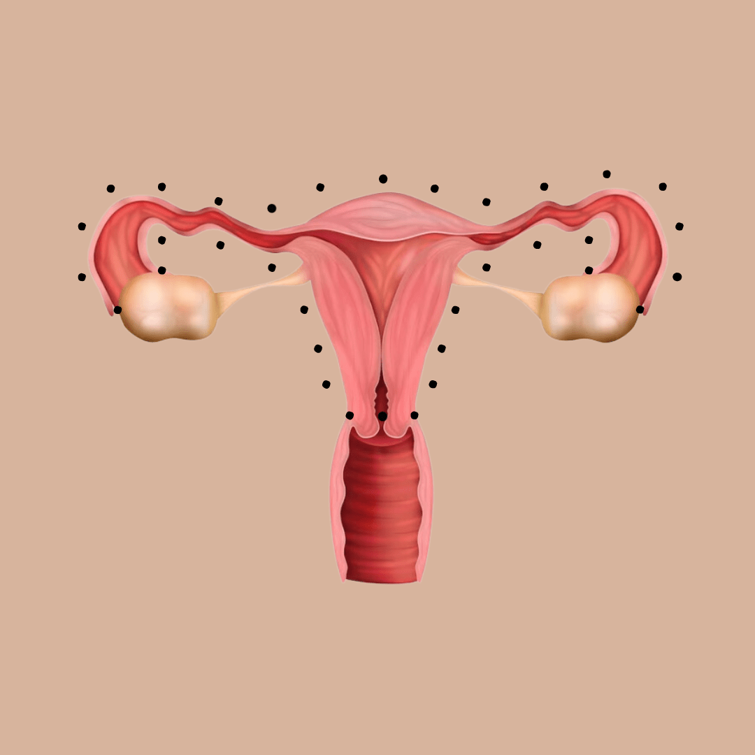 Hysterectomy: a new lease on life?